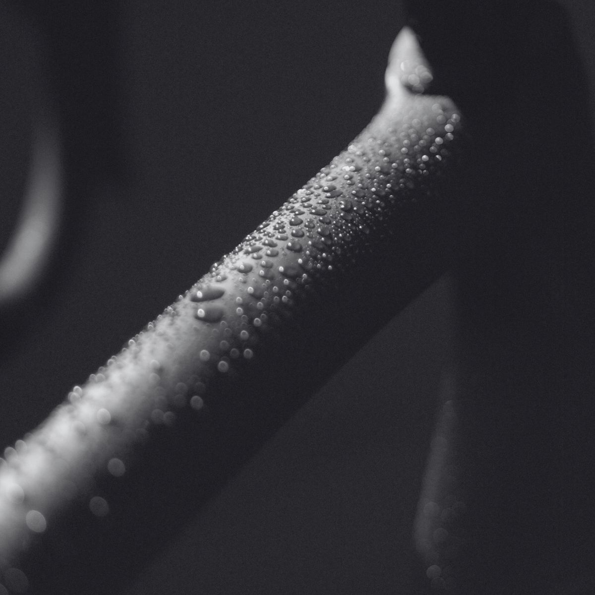 Close-up of a metal surface covered in water droplets, reflecting light in a dark setting. The image is in grayscale, emphasizing the texture and the smooth, curved line of the surface.