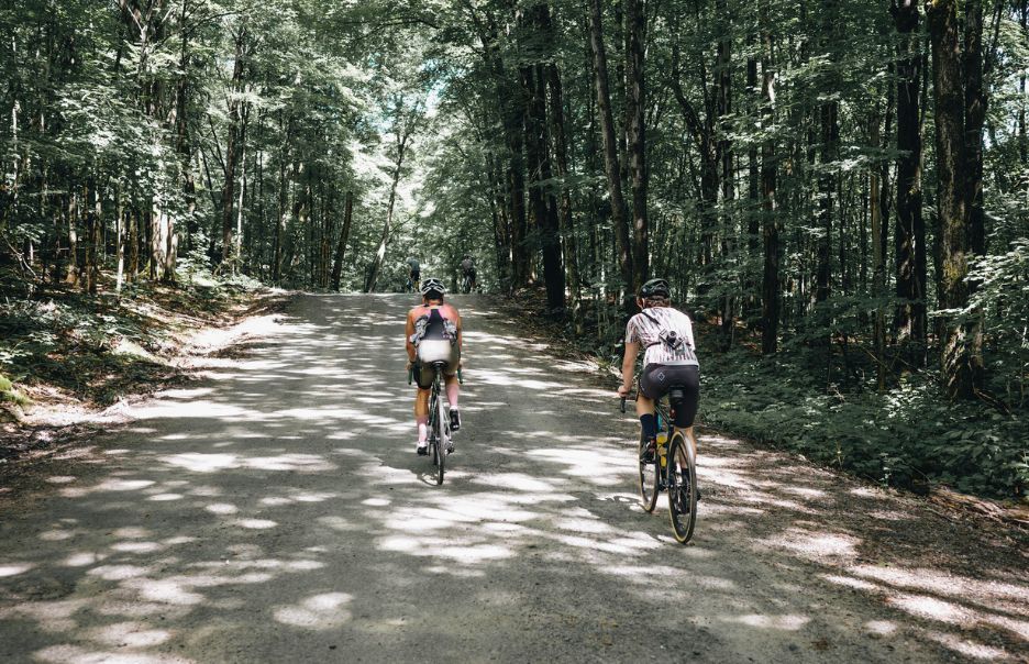 Two cyclists ride on a sunlit gravel path through a dense forest. The path ascends slightly, surrounded by tall trees, with dappled sunlight filtering through the leaves.